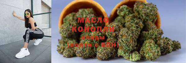 молекула духа Фёдоровский