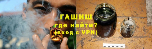 сатива Калининец