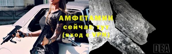 молекула духа Фёдоровский