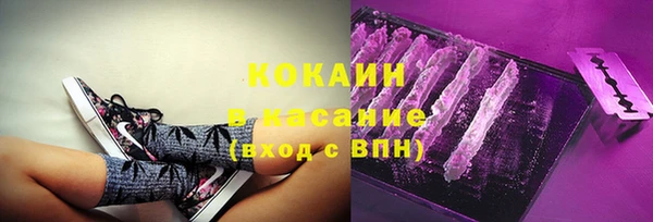 молекула духа Фёдоровский