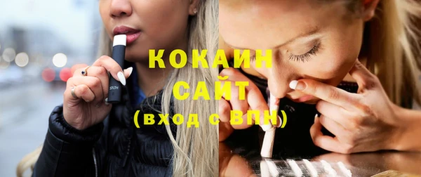 сатива Калининец