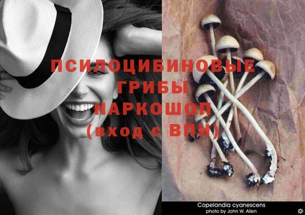 молекула духа Фёдоровский
