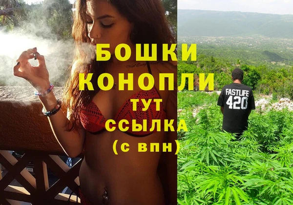шишки Александровское