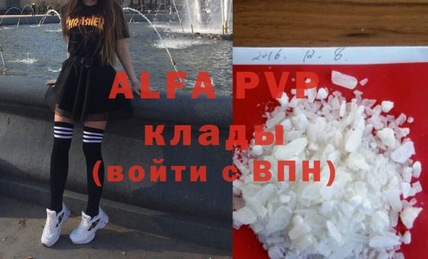 сатива Калининец