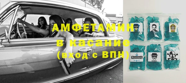 сатива Калининец