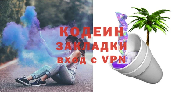 молекула духа Фёдоровский