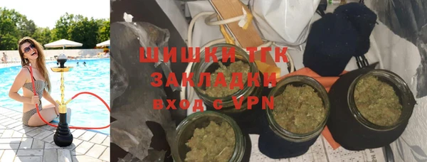 молекула духа Фёдоровский