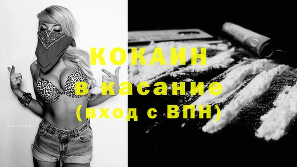молекула духа Фёдоровский