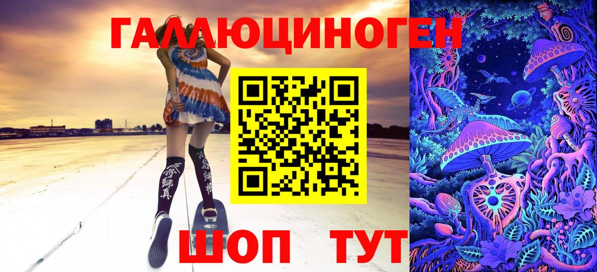 Псилоцибиновые грибы Psilocybe Таганрог